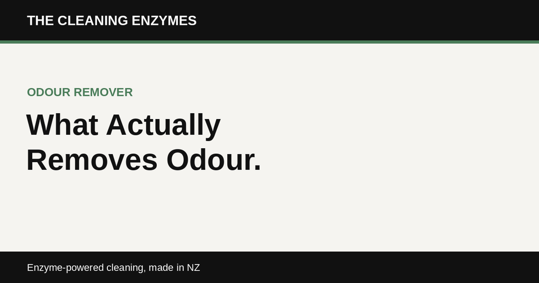 The Cleaning Enzymes banner: what actually removes odour