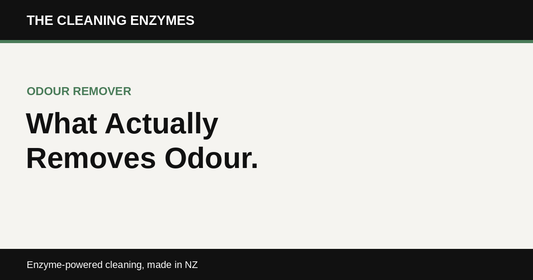 The Cleaning Enzymes banner: what actually removes odour