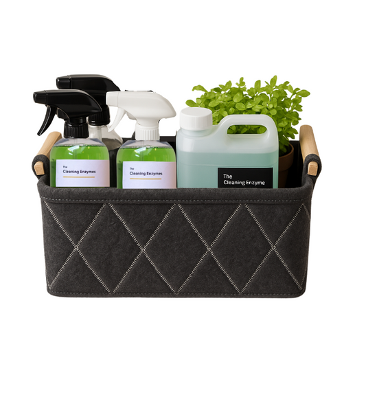 The Cleaning Enzymes Starter Kit