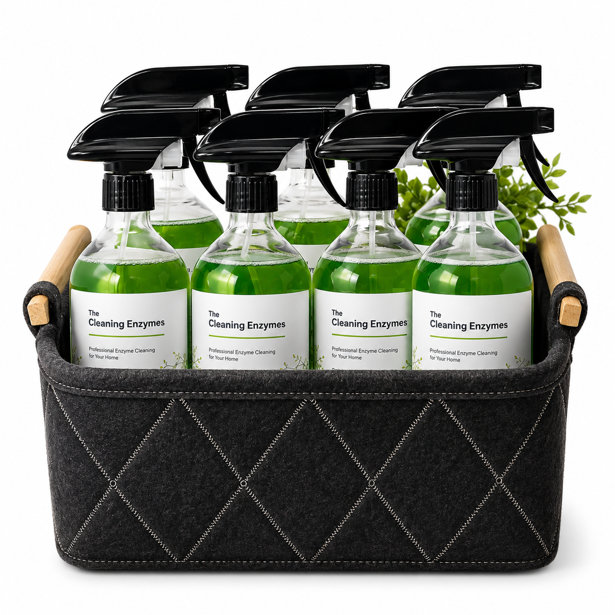 Odour Remover: Enzymatic Cleaner (6 x 500ml)